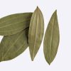 Indian Bay Leaves
