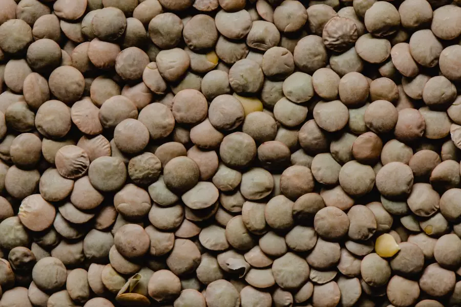 Lentils from Ikaria, Greece